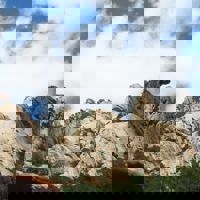 spravceid-13767