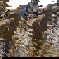 spravceid-13770