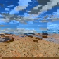 spravceid-14068