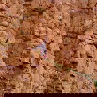 spravceid-14056