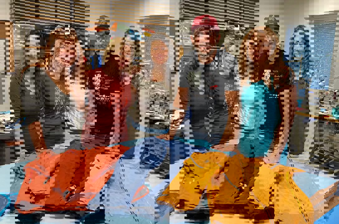 Entwicklung
