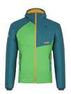 Fotogalerie Herren-Daunenjacke UNIQ green/emerald