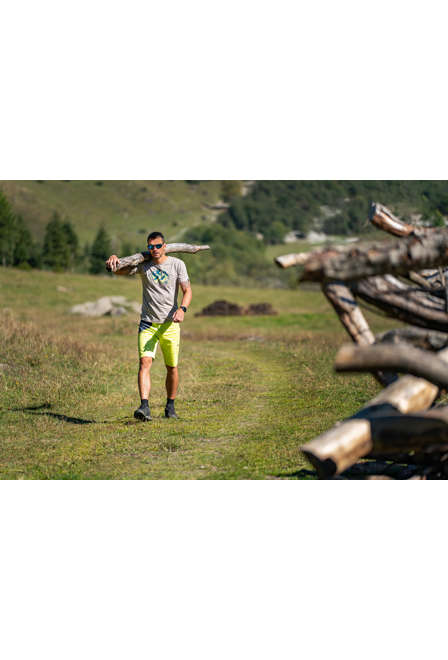 Fotogalerie Herren-Klettershorts CAMPUS SHORTS lime/anthracite